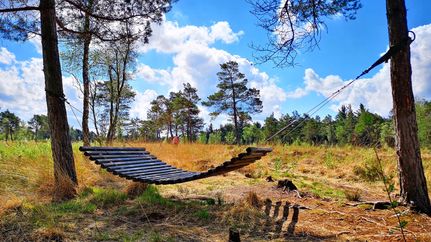 Schöner Platz zum Verweilen im Naturschutzgebiet Tister Bauernmoor