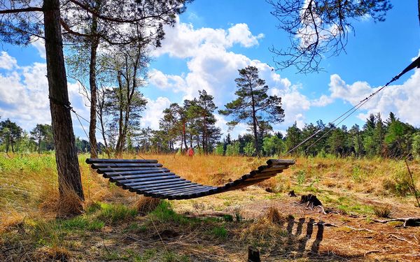 Schöner Platz zum Verweilen im Naturschutzgebiet Tister Bauernmoor