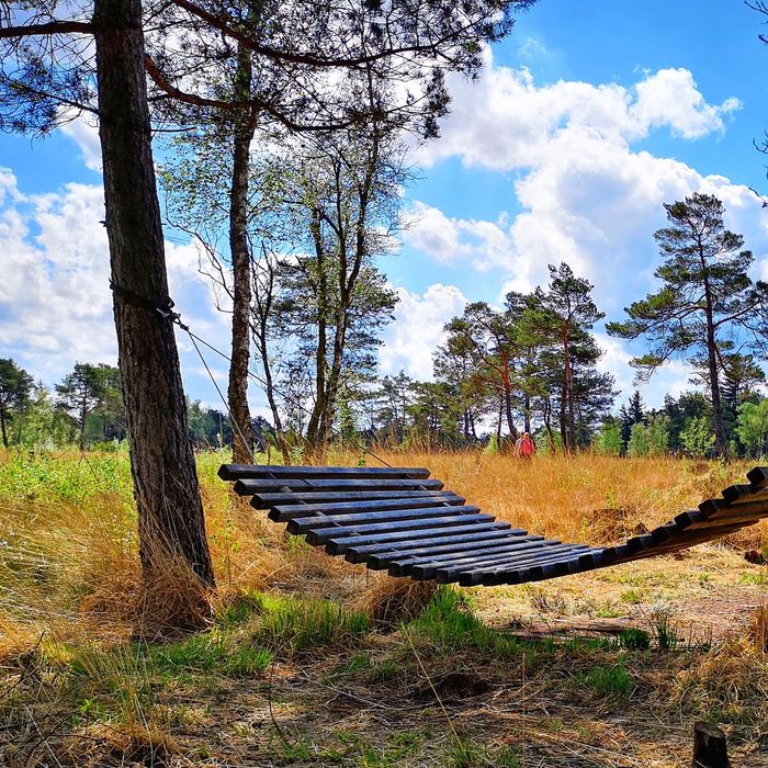 Schöner Platz zum Verweilen im Naturschutzgebiet Tister Bauernmoor