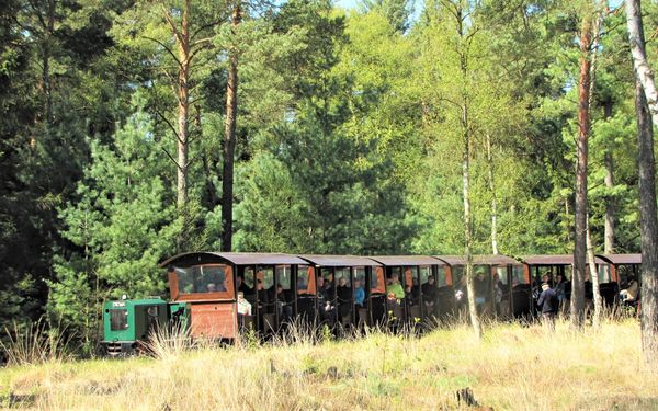 Moorbahn Burgsittensen im Naturschutzgebiet Tister Bauernmoor