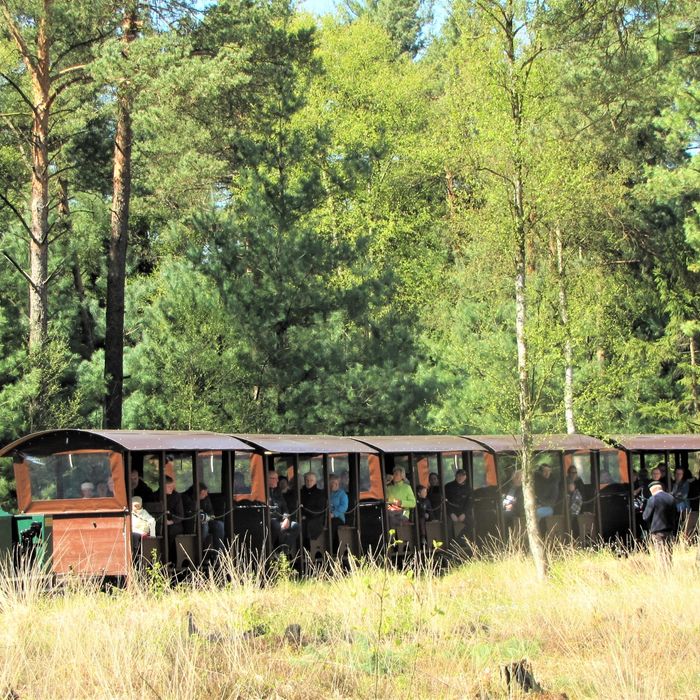 Moorbahn Burgsittensen im Naturschutzgebiet Tister Bauernmoor