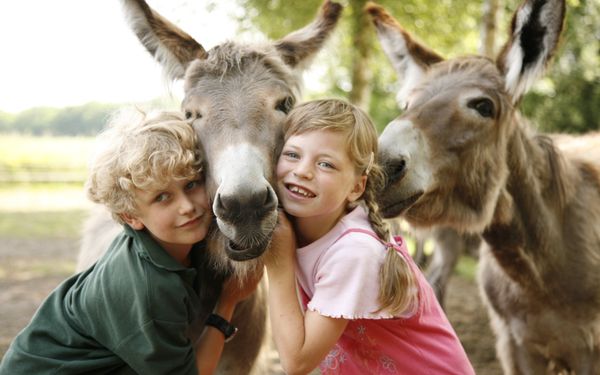 Zwei Kinder mit Eseln im LandPark Lauenbrück