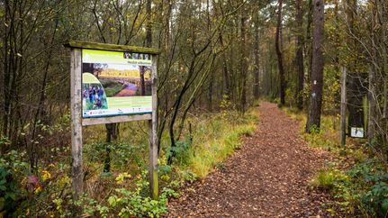 Eingang der Moorerzone im Großen und Weißen Moor