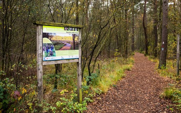 Eingang der Moorerzone im Großen und Weißen Moor