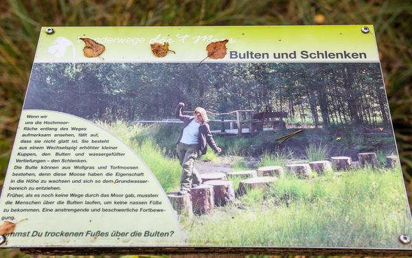 Thementafel in der Moorzone Großes und Weißes Moor