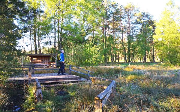 Plattform in der Moorzone im Großen und Weißen Moor