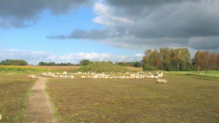 Seitenansicht der Rekonstruktion des Grabhügels von Anderlingen