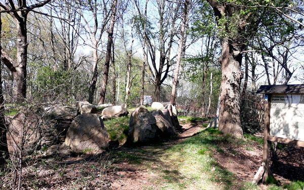 Hügelgrab bei Steinfeld in der Gemeinde Bülstedt