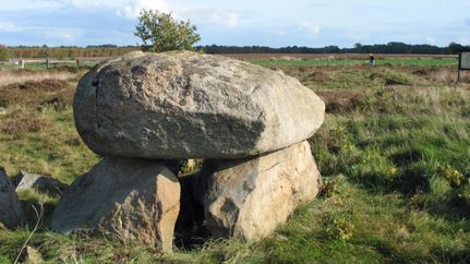 Steinalkenheide Gabfälder