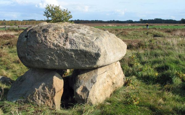 Steinalkenheide Gabfälder