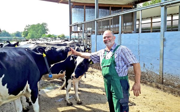 Färsenaufzucht auf Jüttens Hof