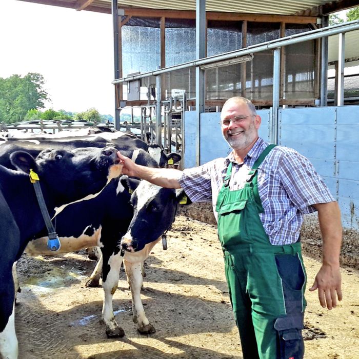 Färsenaufzucht auf Jüttens Hof