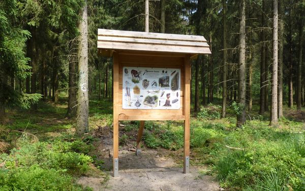 18 Stationen laden zum Informieren und Mitmachen ein