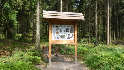 Waldlehrpfad - die 18 Stationen