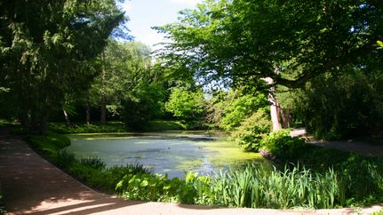 Auepark Bremervörde
