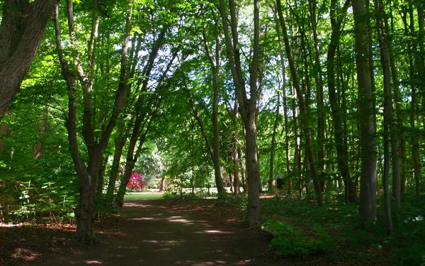 Zugang zum Bürgerpark Bremervörde
