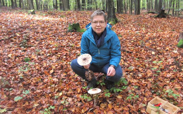 Ulrike Öhler weiß eine Menge über Pilze