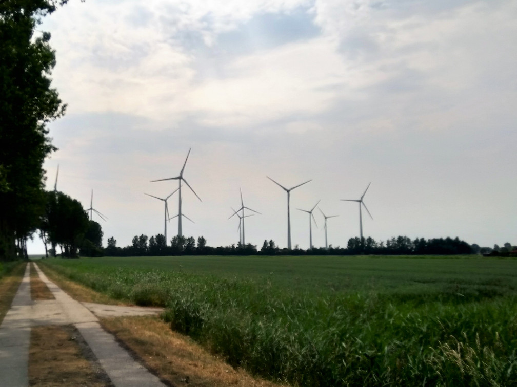 Windenergie in Dithmarschen