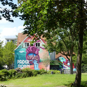 Paderborner Herzgraffiti im Mittleren Paderquellgebiet