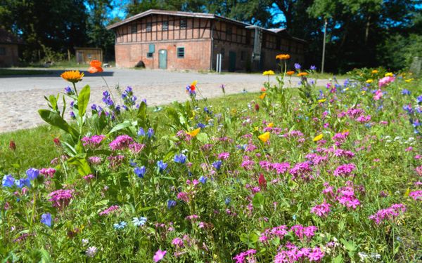 Idyllische Lage inmitten der Natur