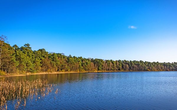 Großer Bullensee am Naturschutzgebiet Großes und Weißes Moor