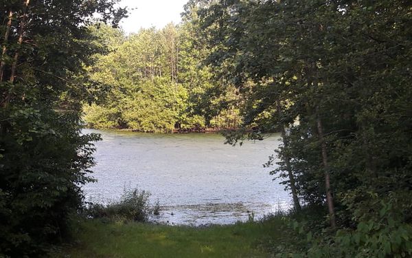 Ausblick auf das Regenrückhaltebecken in Kirchtimke
