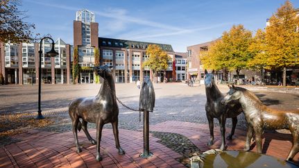 Der Pferdemarkt in Rotenburg (Wümme)