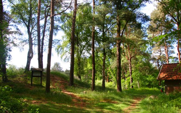 Grabhügel Tempelberg
