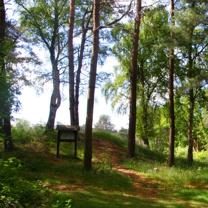 Grabhügel Tempelberg