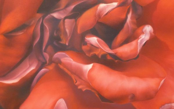 Hannelore Bierkardt Welke Rose Öl auf Leinwand 2020 70x100 cm