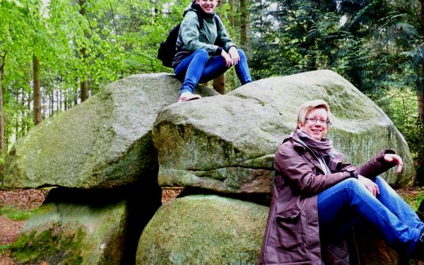Großsteingrab in Steinfeld