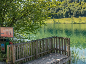 Naturarena Rotsee bei Luzern
