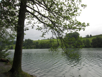 Naturschutzgebiet Rotsee