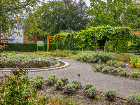 Der Apothekergarten gehört zum Botanischen Garten der Universität Leipzig. Hier wachsen zahlreiche Heilpflanzen.