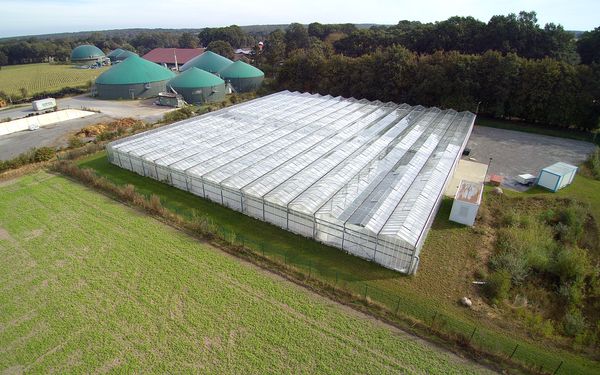 Gewächshaus von JoMaa Spirulina von außen