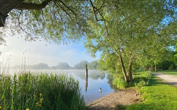 Der Vörder See mit Seemann im Morgennebel