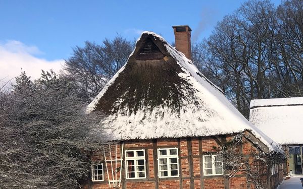 Ferienhaus Reethuus im Winter