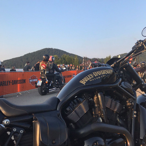 Harley Davidson Maschine 