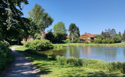 Dorfteich Stederdorf (4).jpg
