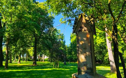 Alter Friedhof (3).jpg