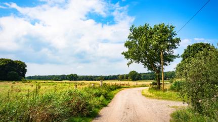 Wanderweg am NORDPFAD Hinterholz Hohenmoor