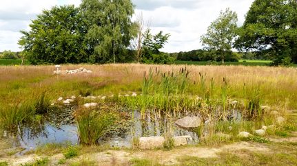 Das Biotop am Tarmstedter Königsberg