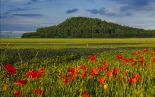 Seilbahnberg Lengede