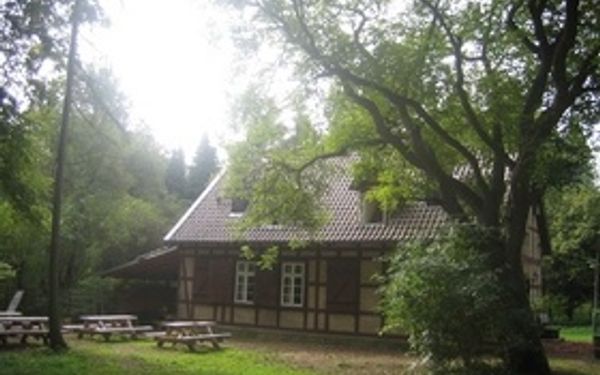 Grünes Klassenzimmer Meerdorfer Holz