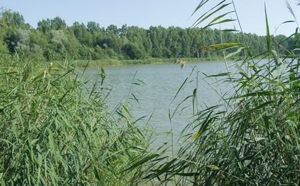 Lengeder Teiche