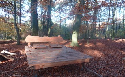 Walderlebnispfad Zweidorfer Holz