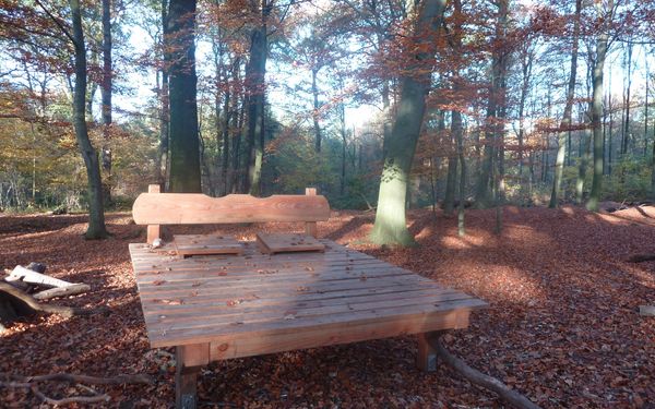 Walderlebnispfad Zweidorfer Holz