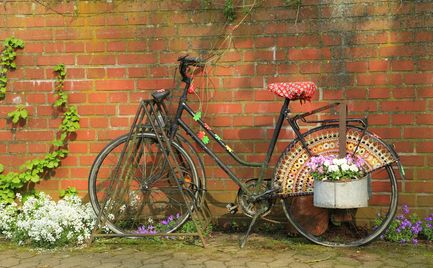 Fahrrad