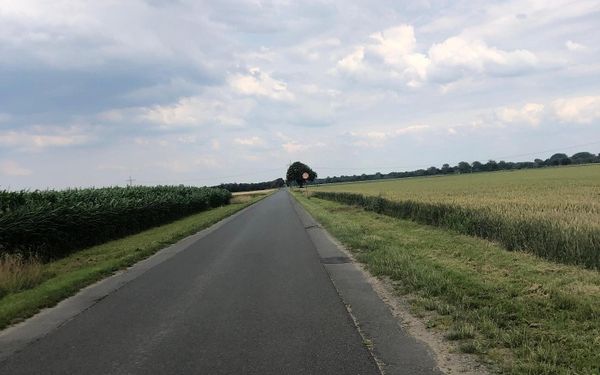 Feldweg am Maisfeld