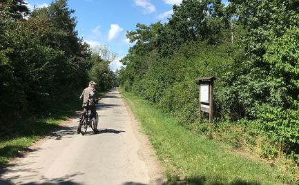 Naturlehrpfad Wipshausen